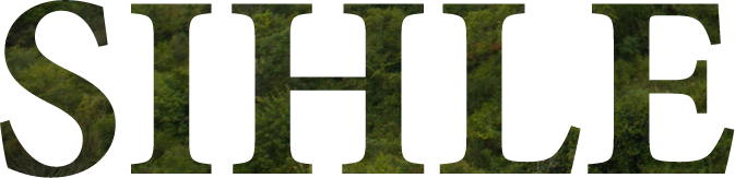 SIHLE Background ELement 2